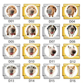 Pet Portrait Italian Modular Charm