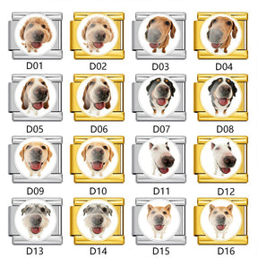 Pet Portrait Italian Modular Charm