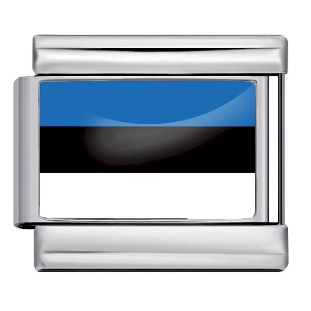 Silver Estonia Flag Italian Bracelet Module - Glossy Finish