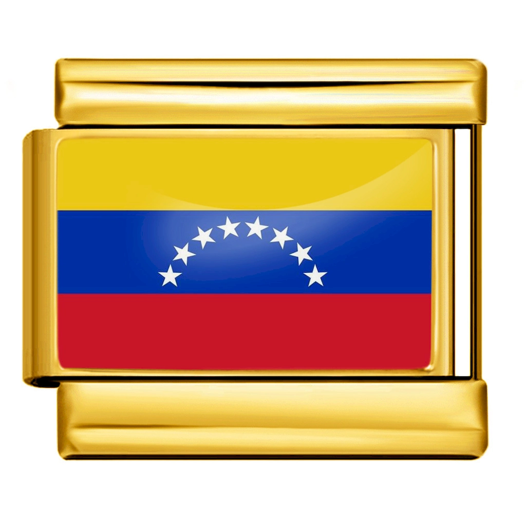 Venezuela Flag Gold Italian Link Module Charm